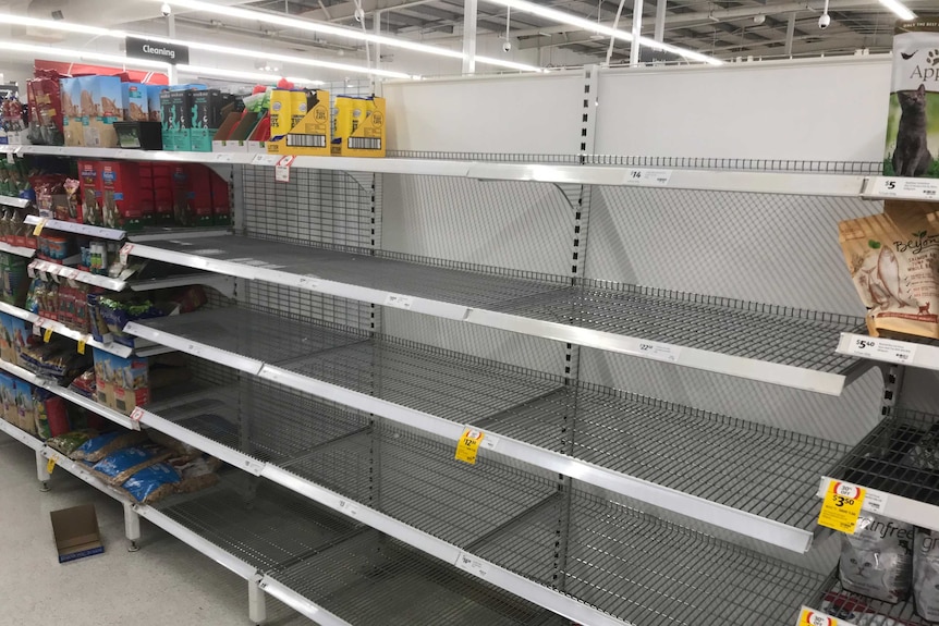 A supermarket shelf, with the section where cat litter should be empty