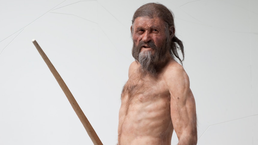 A reconstruction shows what an Iceman looked like.