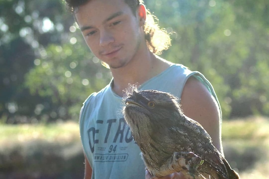 A young man holds a stick out with a tawny frogmouth bird perched on it