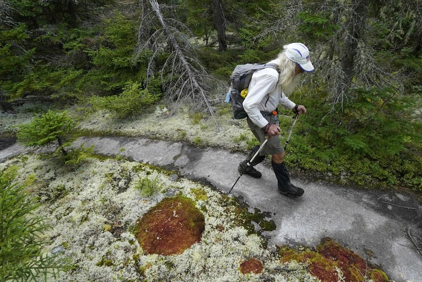 A man with with long white hair, holding poles hikes along an icy path surrounded by green shrubs 