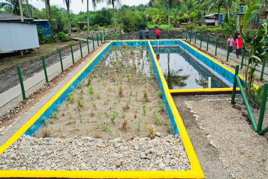 rectangular pool filled with gravel and grass, with a small pool beside it.