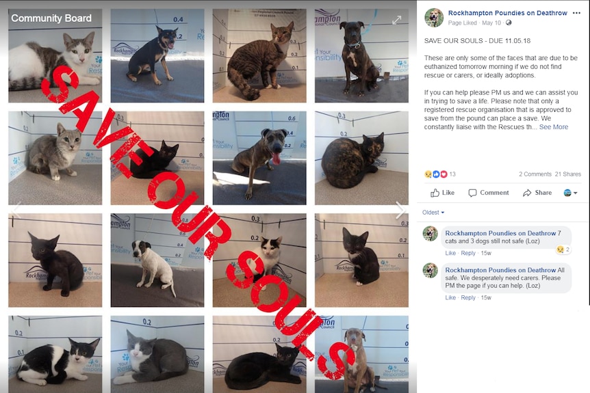 A screenshot of a post to the Facebook page of 16 cats and dogs who face euthanasia at the pound