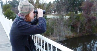 Woman with binoculars looking for platypus