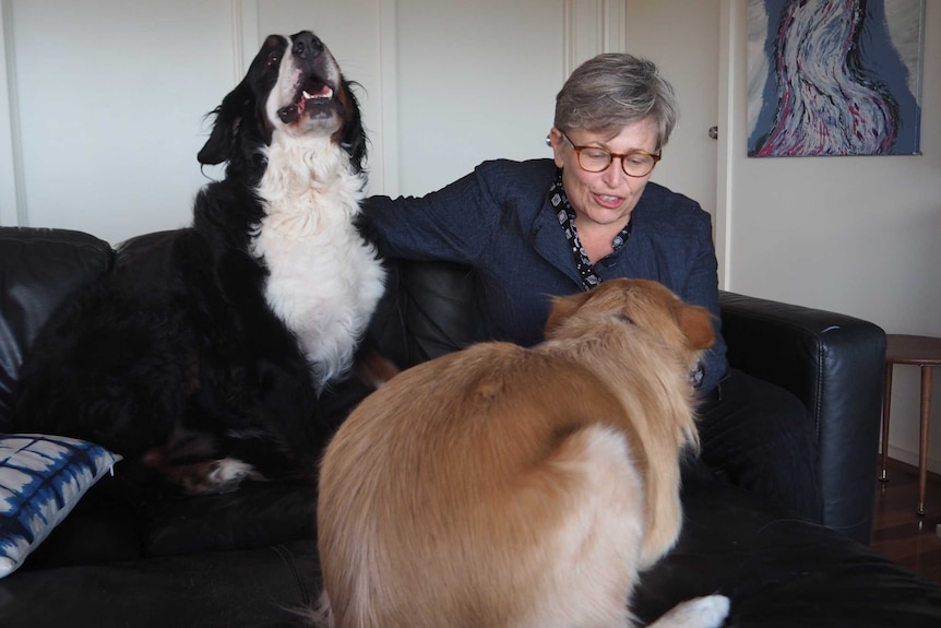 A woman sits on a couch in a lounge room with two large dogs