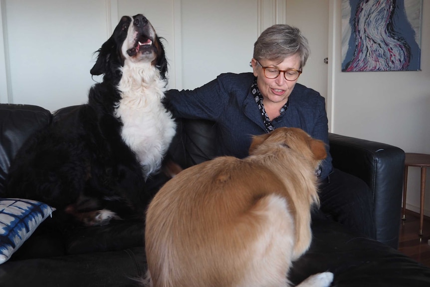 Heather Fraser sits on a couch in a lounge room with two large dogs