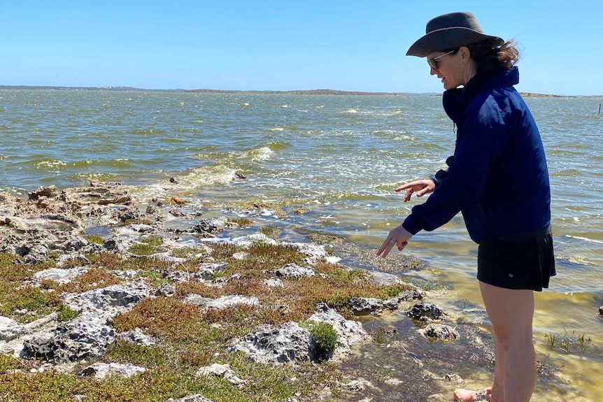 An ecologist counting bird eggs at Coorong.