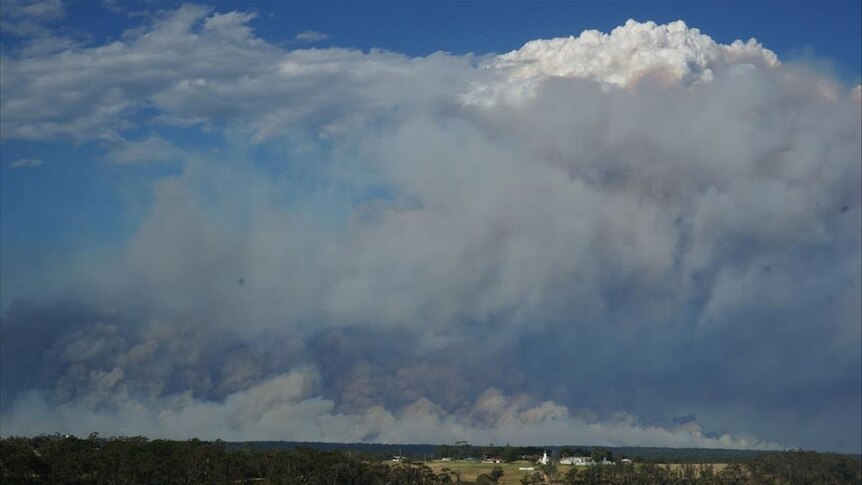 Smoke billows from the Tostaree bushfire.