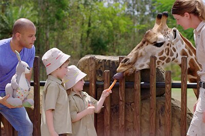 Luke holding stuffed toy Joey with a zookeeper and some children feeding a giraffe