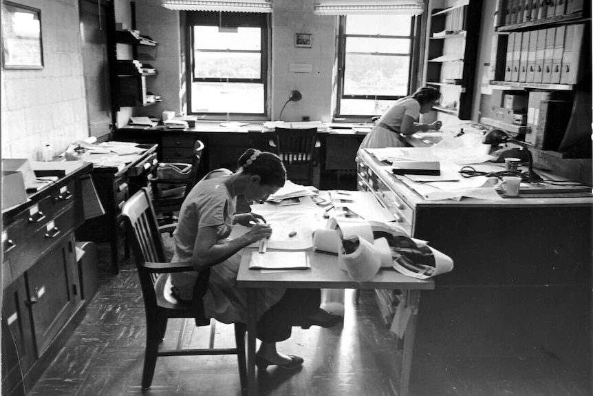 A black-and-white image of a woman in an office in the 1950s, sitting bent over her desk, working on papers.