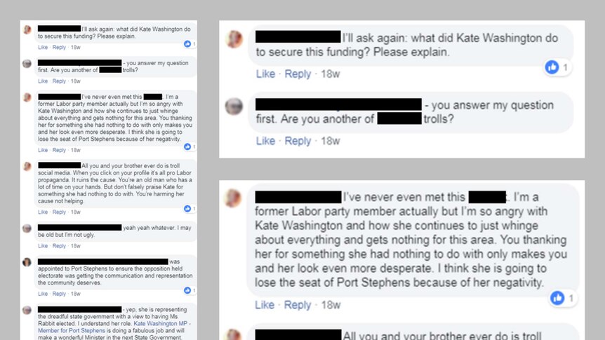 A screen capture of some of the comments NSW Labor MP Kate Washington believes were posted by fake users.
