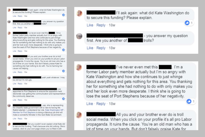 A screen capture of some of the comments NSW Labor MP Kate Washington believes were posted by fake users.