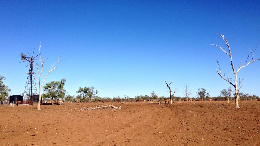 Drought ravaged property near Charleville in south-west Queensland