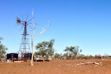 Drought ravaged property near Charleville in south-west Queensland