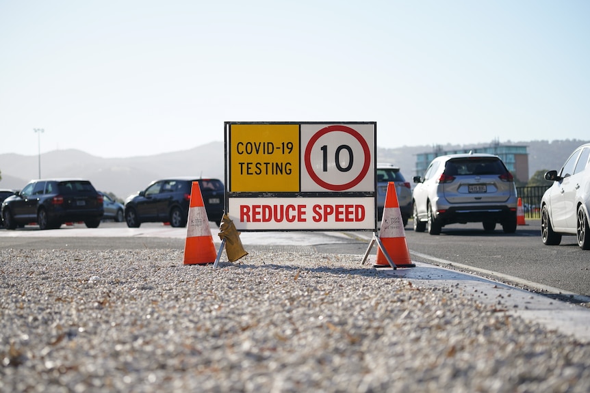 Cars line up for COVID-19 testing in Adelaide's Victoria Park