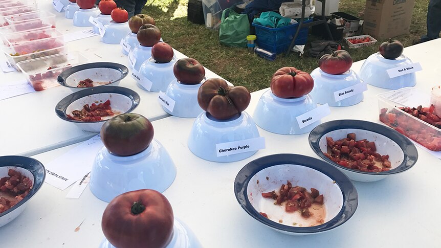 Tomato varieties on show at Tasmanian Tomato and Garlic Festival, March 2017.