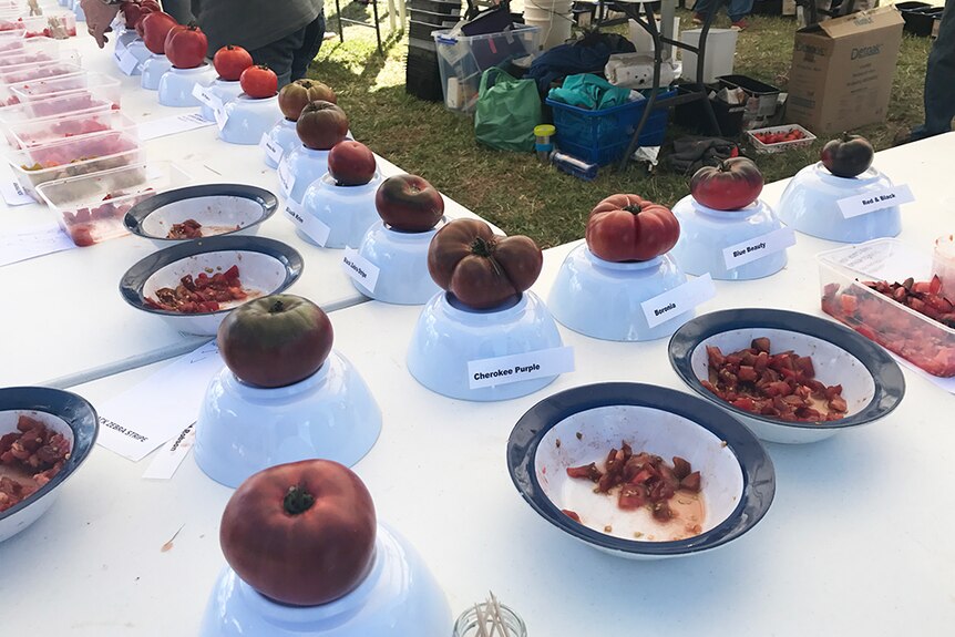 Tomato varieties on show at Tasmanian Tomato and Garlic Festival, March 2017.
