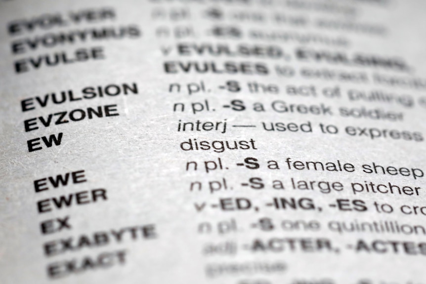 The word ew appears in the new edition of Merriam Webster's Official Scrabble Players Dictionary.