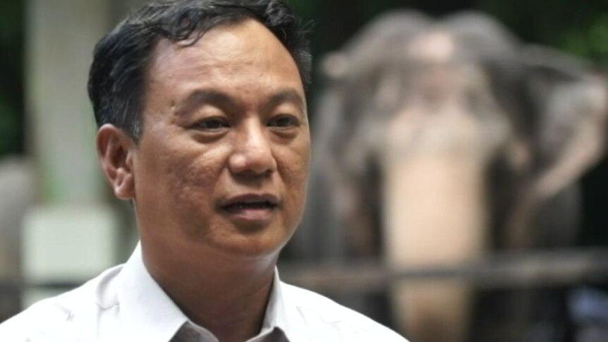 Konservasionis, Aung Myo Chit, mengatakan produk kulit gajah bisa menjadi racun bagi manusia.