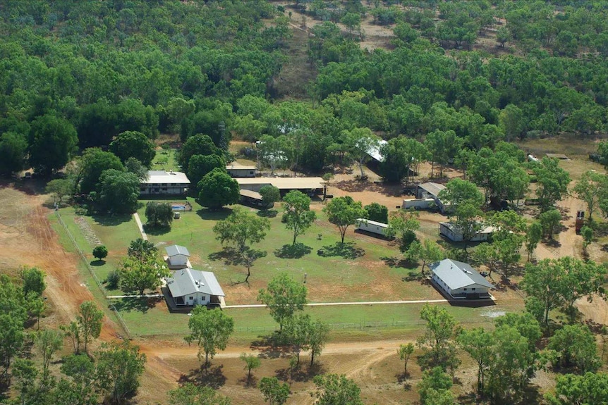 an aerial shot of houses and sheds surrounded by trees.