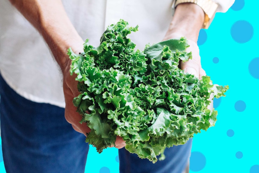 is kale really a superfood how do i