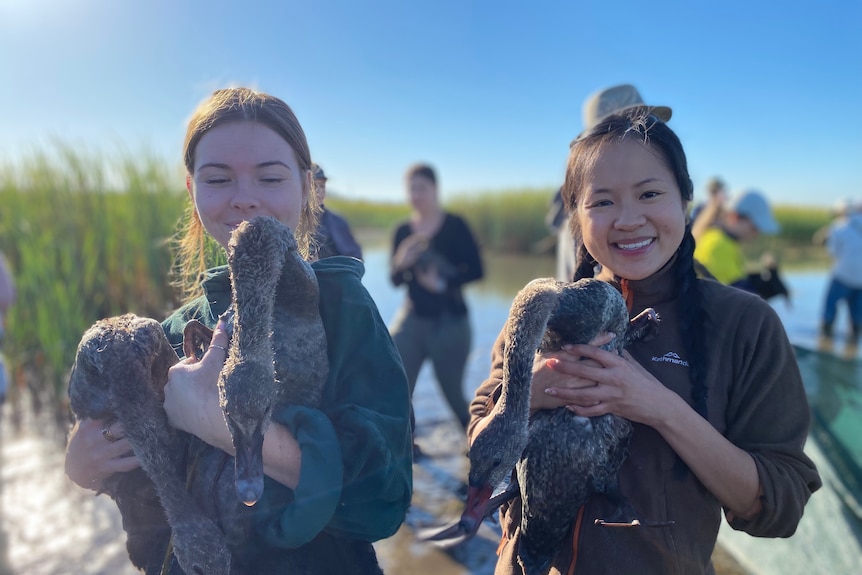 Two young women smile as they cradle black cygnets