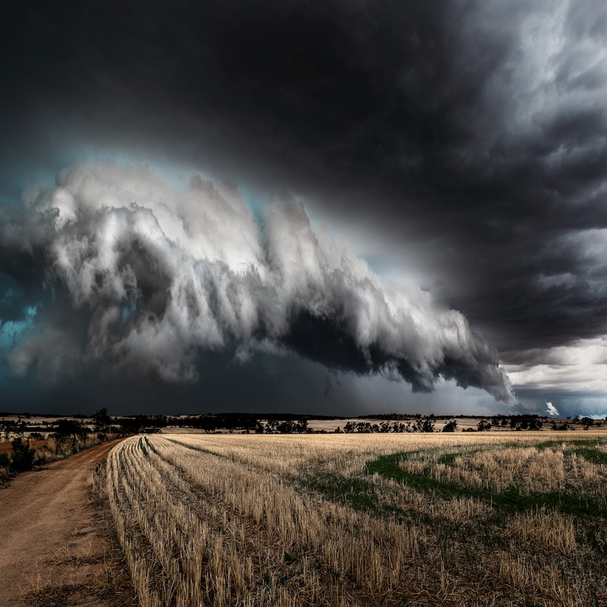 Storm clouds gather over stubble.