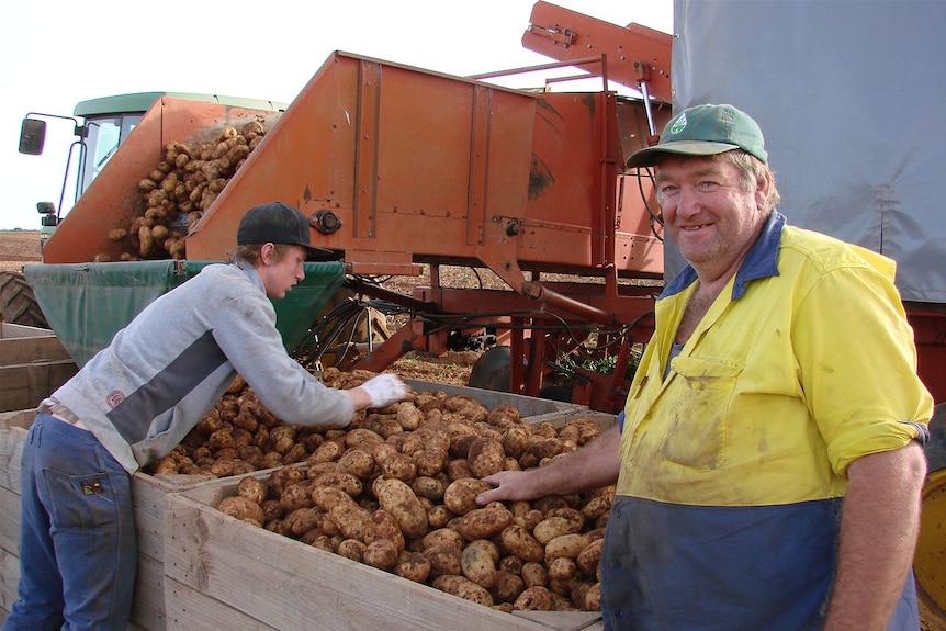 A smiling man stands next to a young man sorting through potatoes.