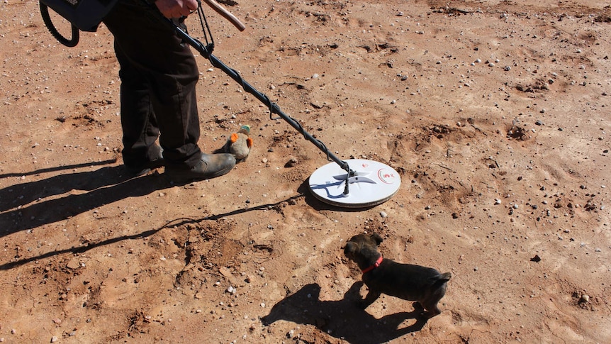 Birds eye shot of the dog looking at the metal detector with Craig's boots in view