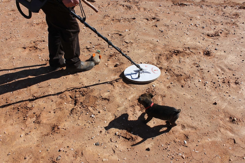 Birds eye shot of the dog looking at the metal detector with Craig's boots in view