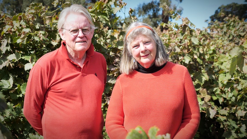 two elderly people are wearing red tops standing in a vineyard looking at the camera. 