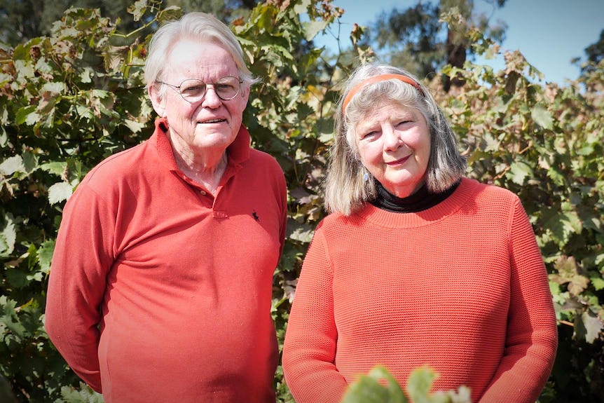 two elderly people are wearing red tops standing in a vineyard looking at the camera 