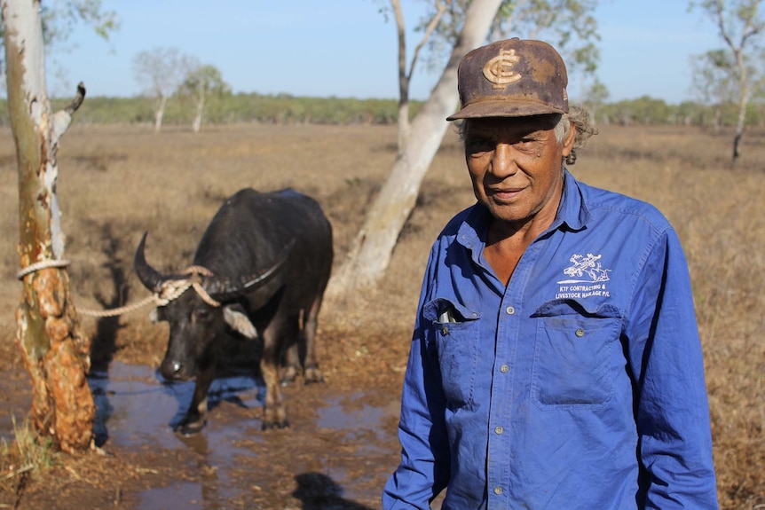 Roley Cronin stands in front of a tethered water buffalo.