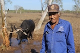 Roley Cronin stands in front of a tethered water buffalo.