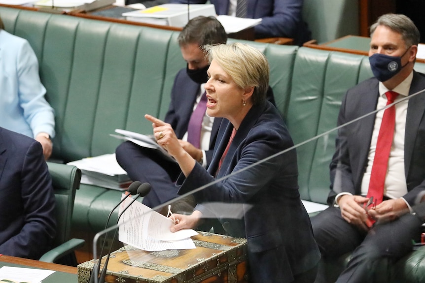 Tanya Plibersek points at the Coalition while speaking in Question Time