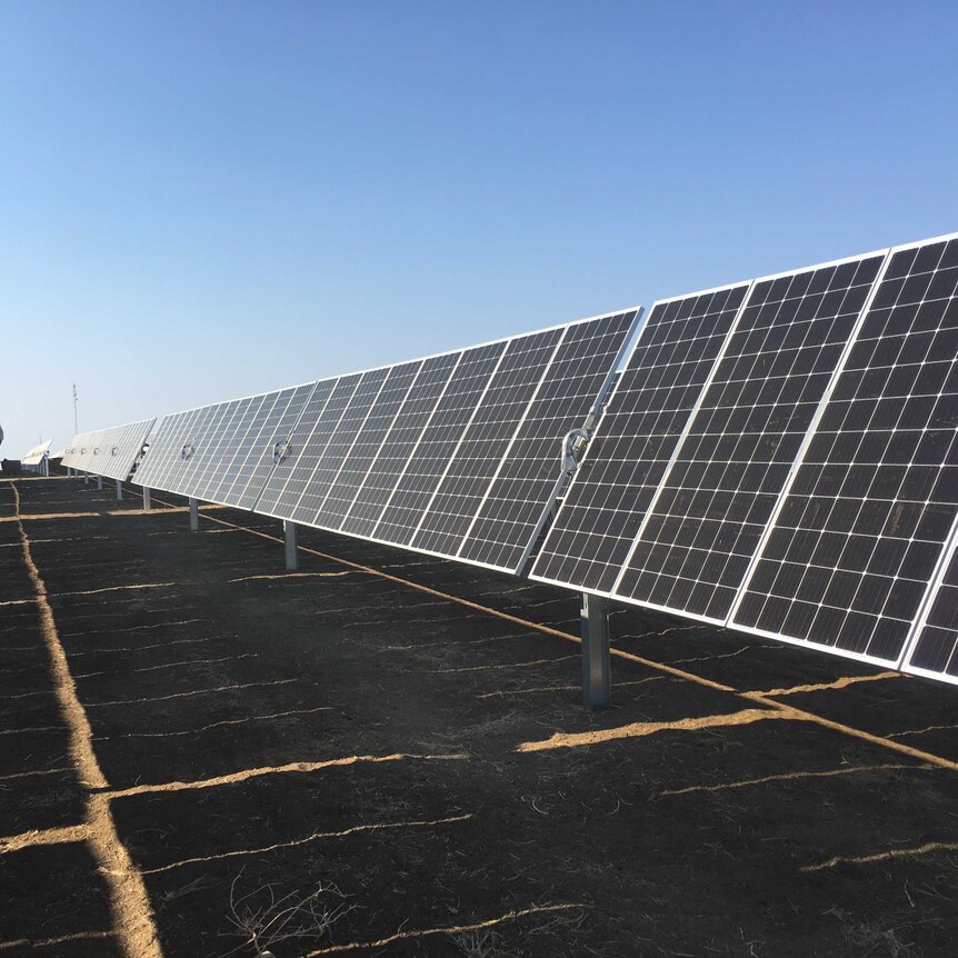 solar panels in a farm