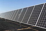 Solar panels at a power plant.