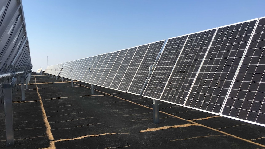 Solar panels at a power plant.