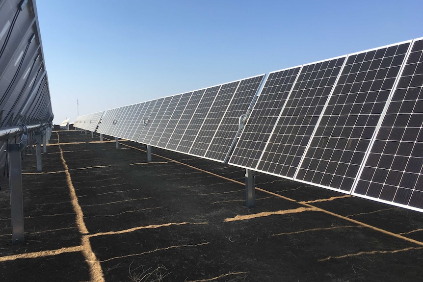 solar panels in a farm