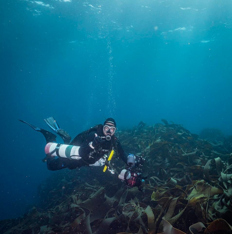 a person in diving gear underwater