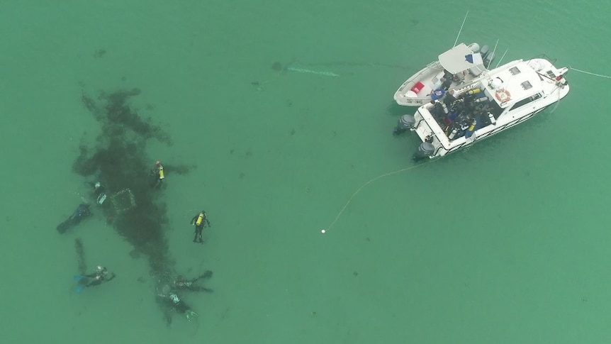 Aerial picture of a boat, and divers over a dark patch in the water