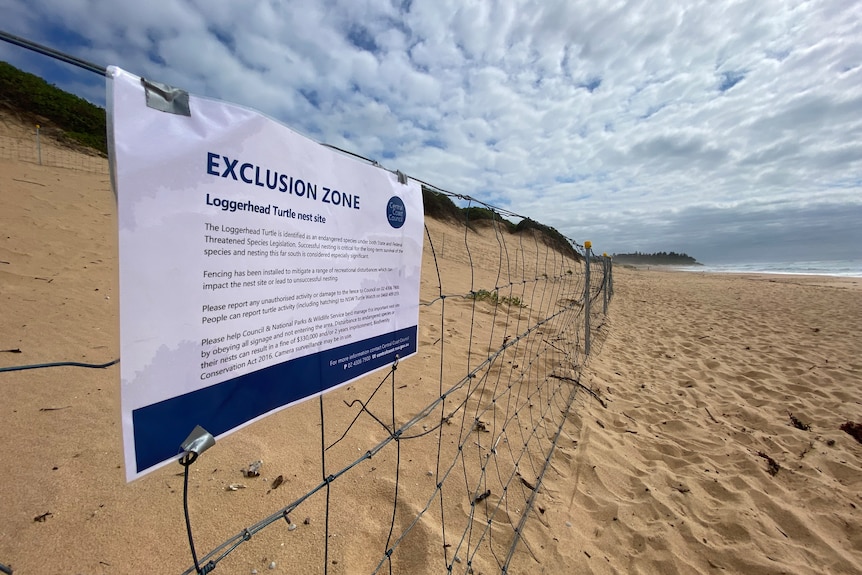 A fence around a turtle nest with an 'exclusion zone' sign