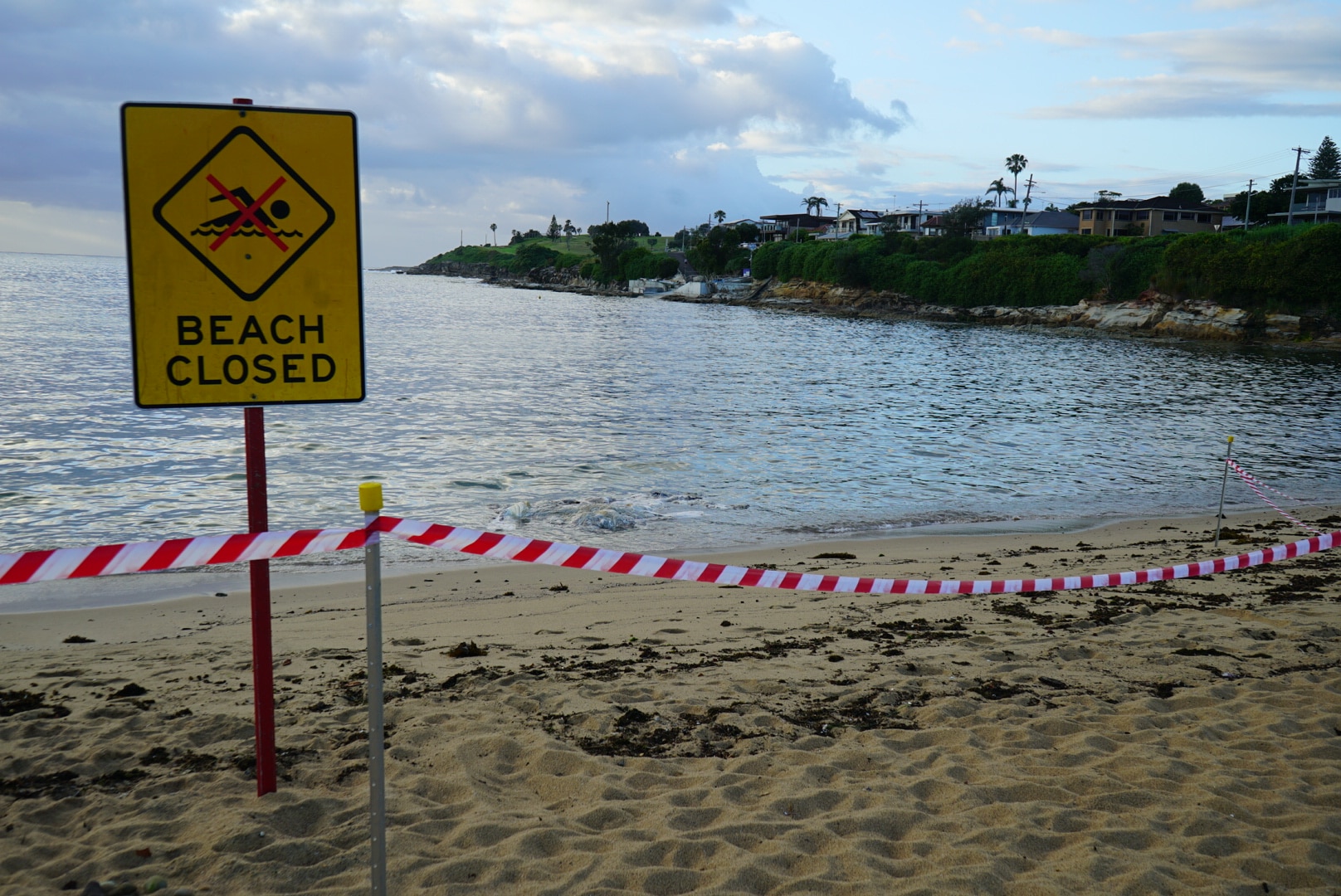 Malabar Beach closed after decomposing whale carcass washes ashore in pieces