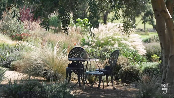 Table and seats in a garden with colourful ornamental plants in the background.