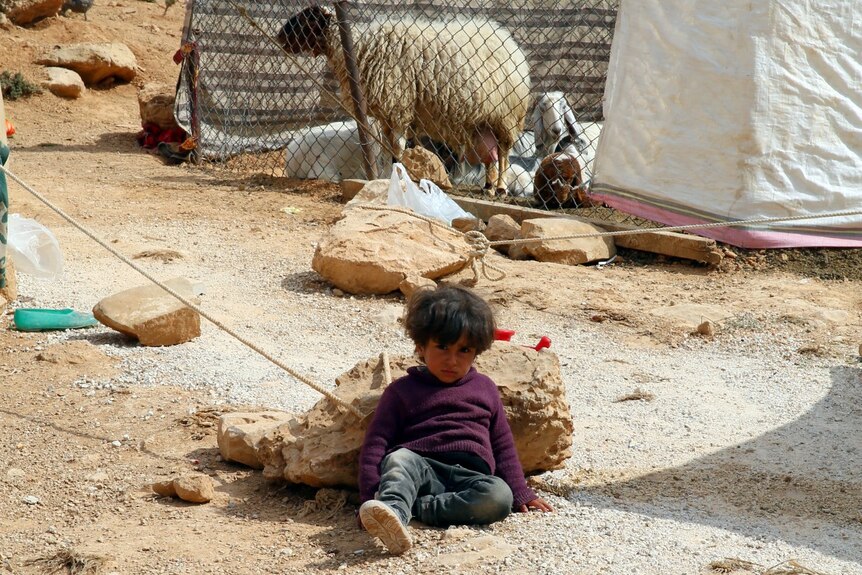 A boy sits in the dirt with a sheep behind and tents nearby.