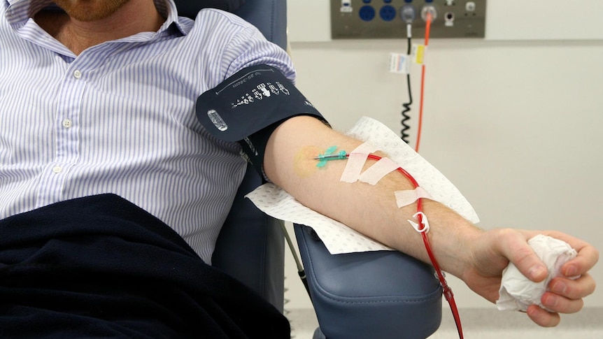 Plasma donor at Australian Red Cross Blood Service