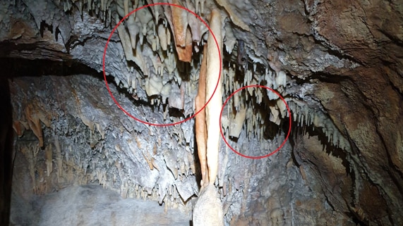 Damaged stalactites in a cave, with a police logo on the image.