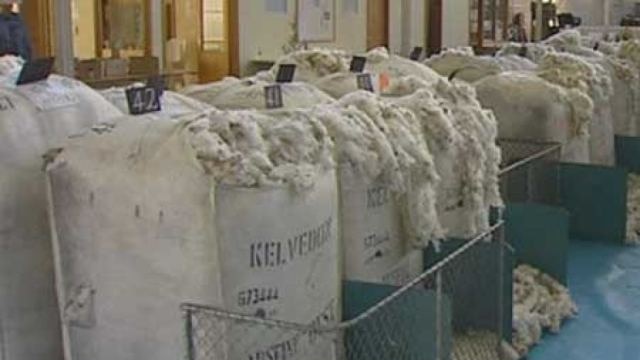 Wool brokers are hopeful prices will pick up at this week's Newcastle sale.