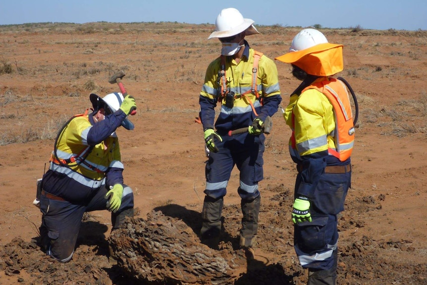 Three men break up a termite mound. One is swinging a hammer.