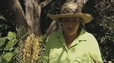 Ginger Lily Gardening Australia