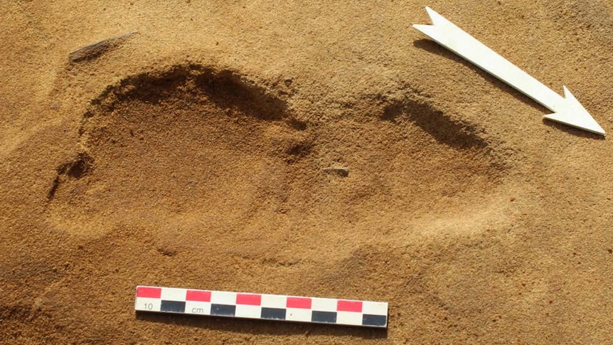 Close up of a Neanderthal footprint